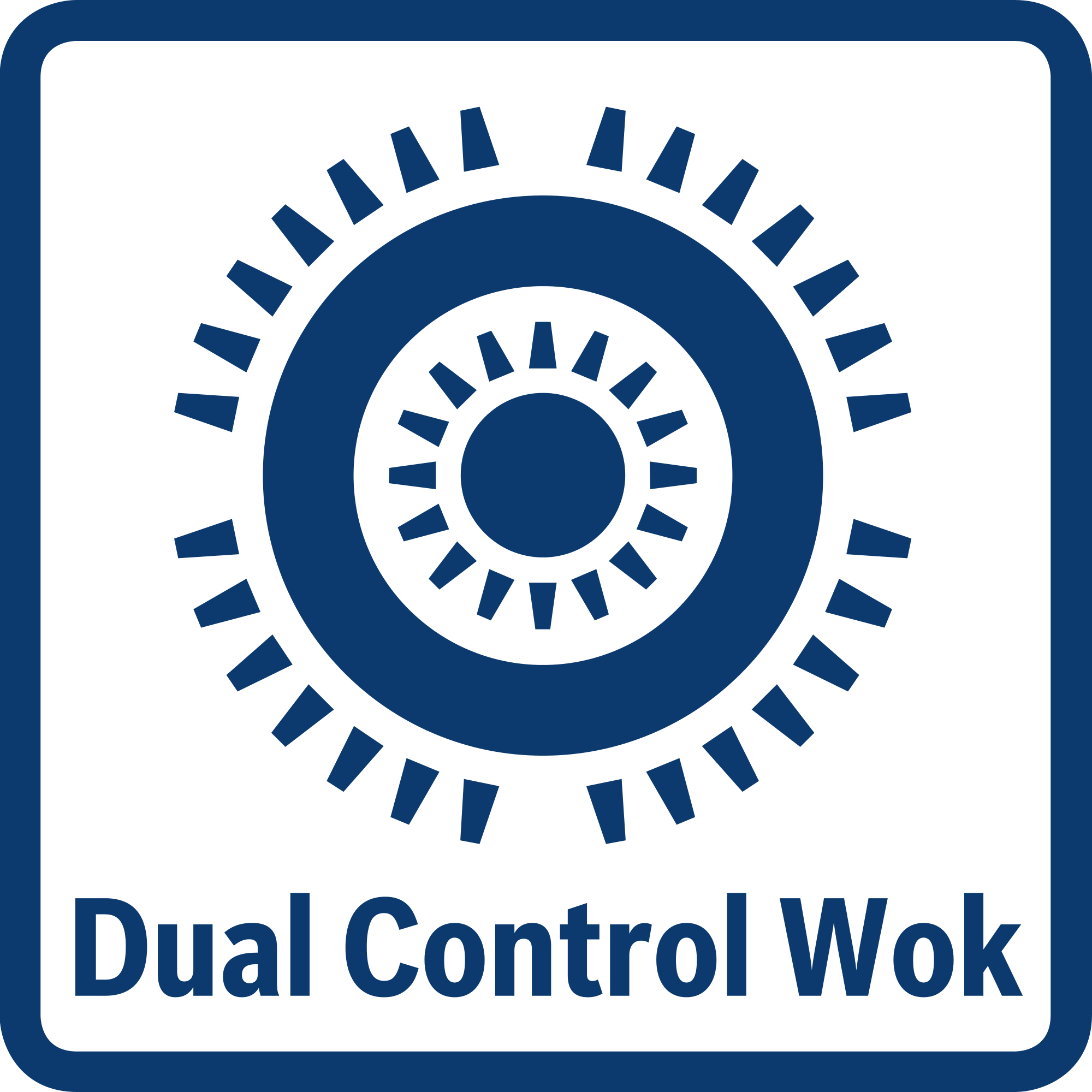 Dual Control Wok