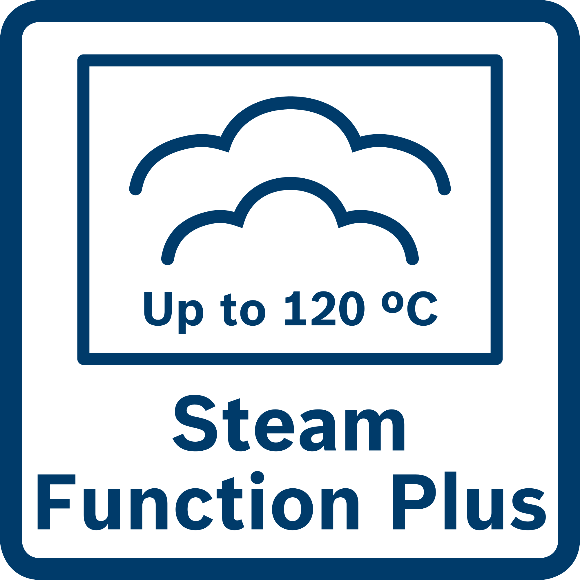 Steam Funciton Plus